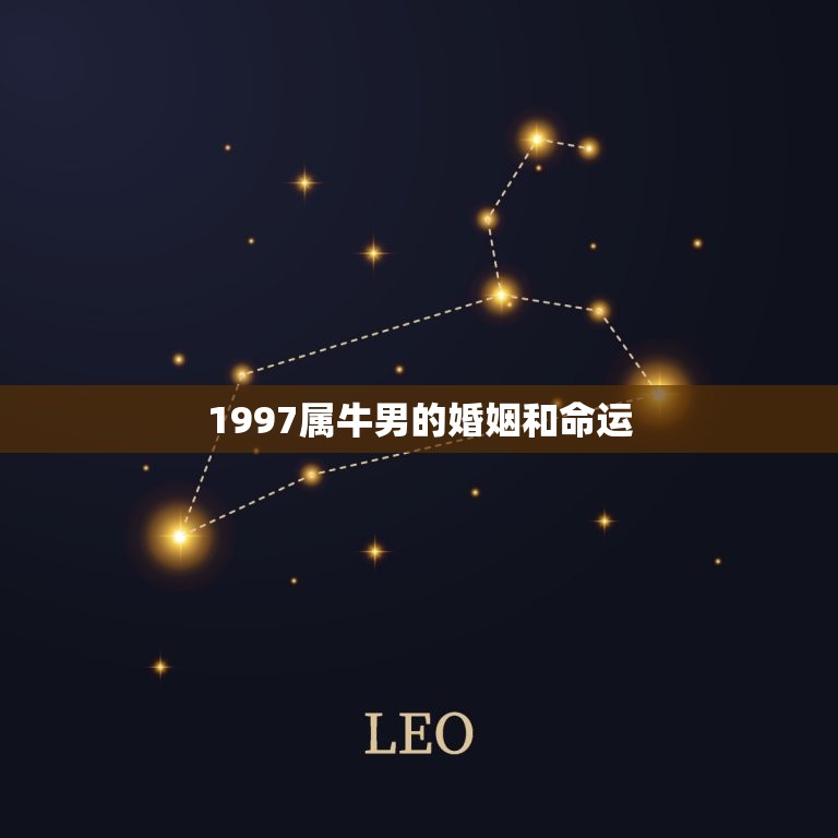 1997属牛男的婚姻和命运 1997年属牛男一生运势  第1张