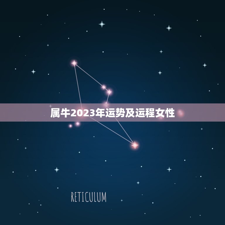 属牛2023年运势及运程女性 属牛人2023年全年运势