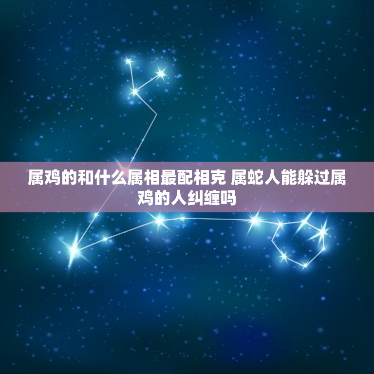 属鸡的和什么属相最配相克 属蛇人能躲过属鸡的人纠缠吗  第1张