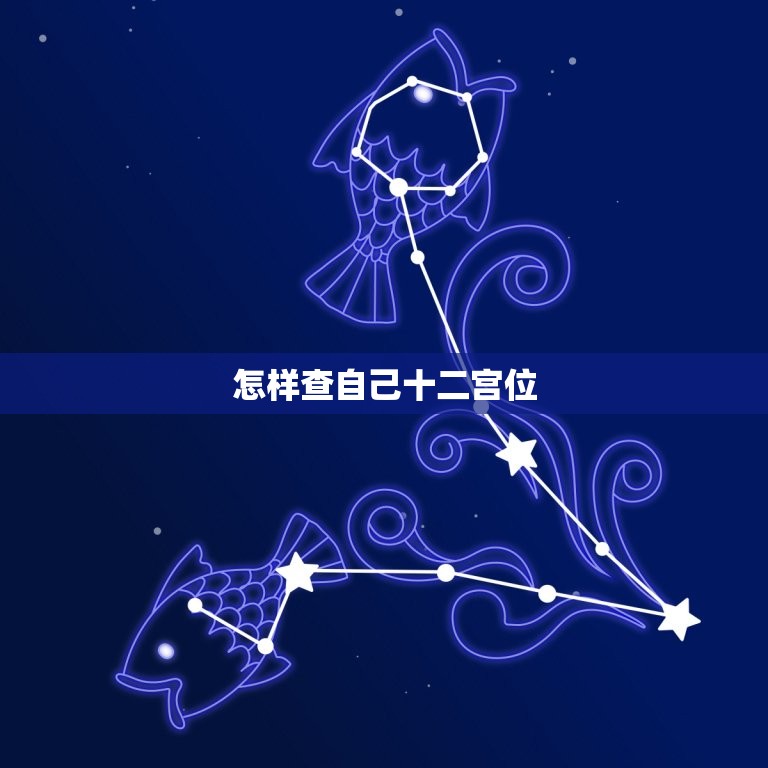 怎样查自己十二宫位 怎么看自己的星座宫位落在哪  第1张