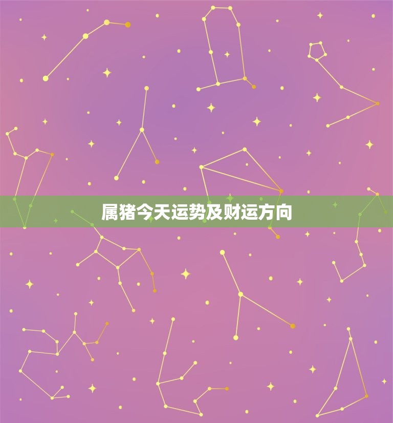 属猪今天运势及财运方向，属狗今天运势及财运方位  第1张
