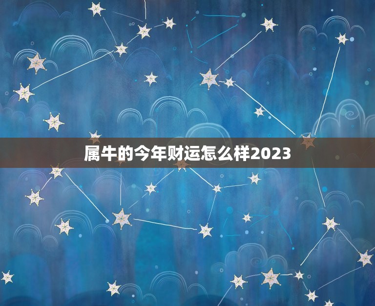 属牛的今年财运怎么样2023，属牛的今年财运怎么样2023年