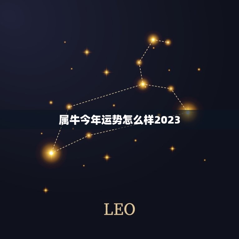 属牛今年运势怎么样2023，属牛的人今年运势怎么样2023  第1张