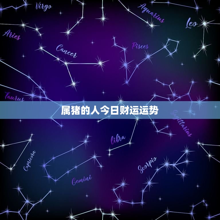 属猪的人今日财运运势，属猪的人今日财运运势如何  第1张