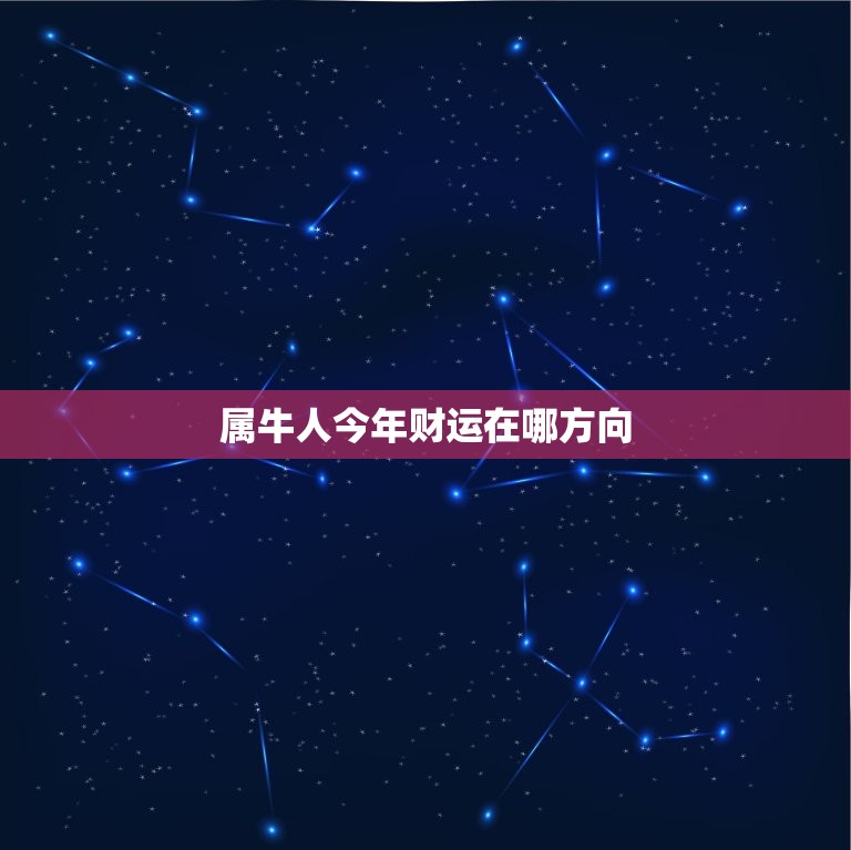 属牛人今年财运在哪方向，属牛的人今年财运在什么方向  第1张