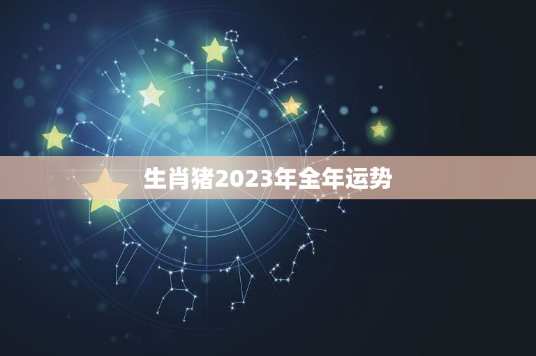 生肖猪2023年全年运势，生肖猪2023年全年运势详解