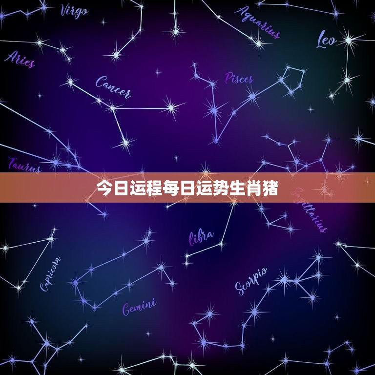 今日运程每日运势生肖猪，今日运程每日运势生肖  第1张
