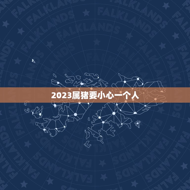 2023属猪要小心一个人，2023属猪需要注意什么