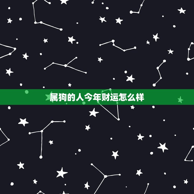 属狗的人今年财运怎么样，属狗的人今年财运怎么样呀  第1张