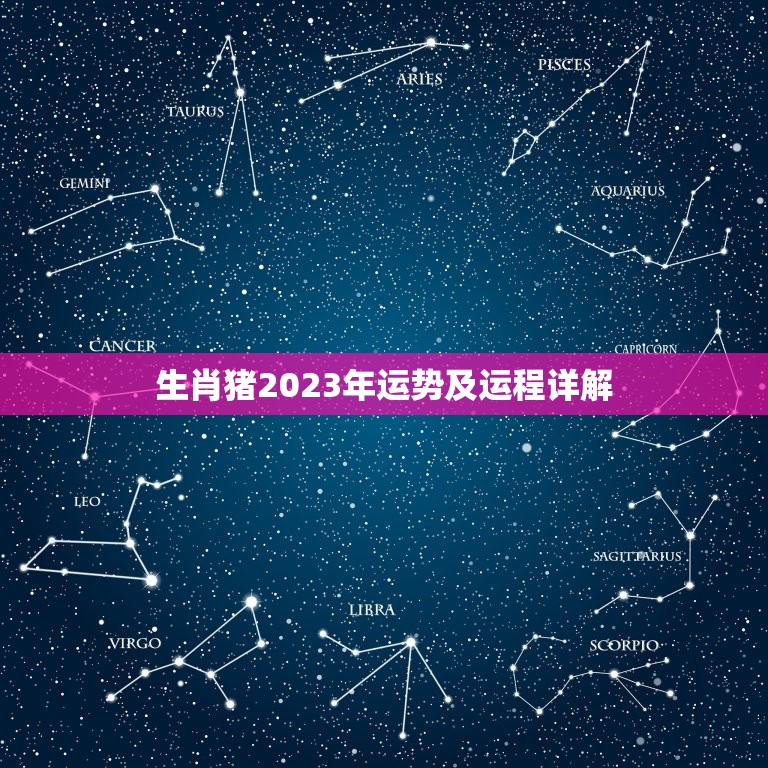 生肖猪2023年运势及运程详解，生肖猪2023年运势及运程详解视频
