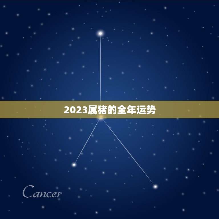 2023属猪的全年运势，2023属猪的全年运势麦玲玲  第1张
