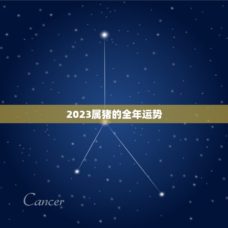 2023属猪的全年运势，2023属猪的全年运势麦玲玲