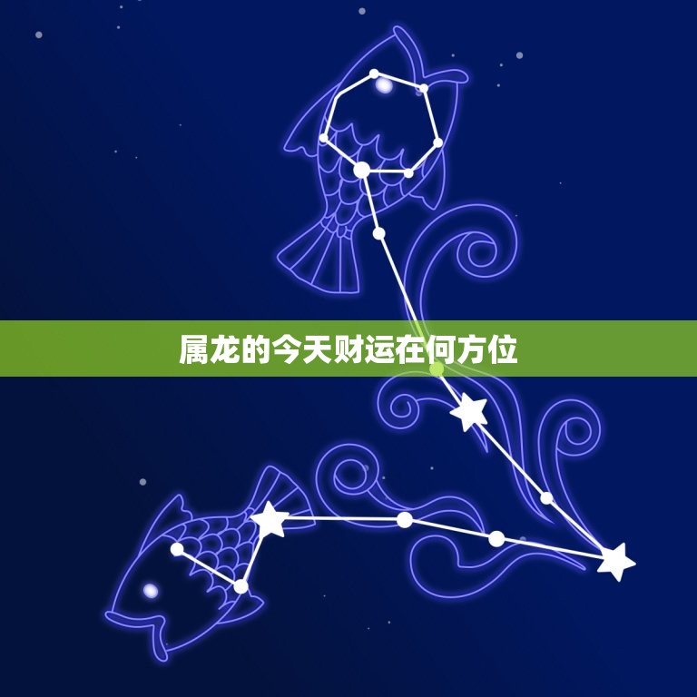 属龙的今天财运在何方位，属龙的今天财运方向是何方  第1张
