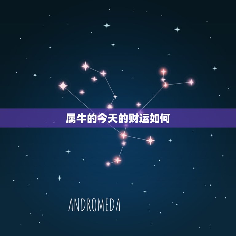 属牛的今天的财运如何，属牛的今天的财运如何呢  第1张