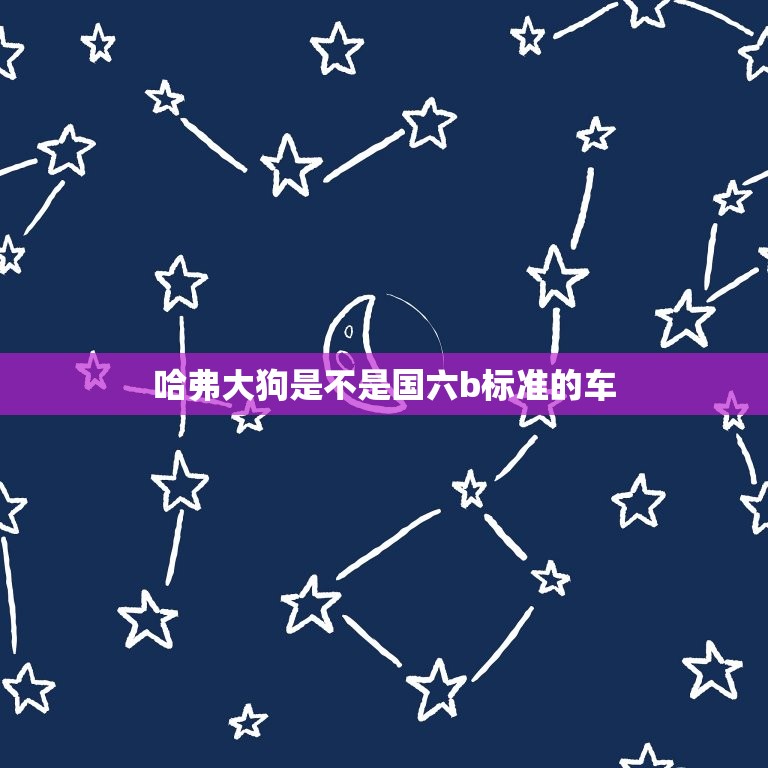 哈弗大狗是不是国六b标准的车，哈弗大狗是不是国六b标准的车辆  第1张