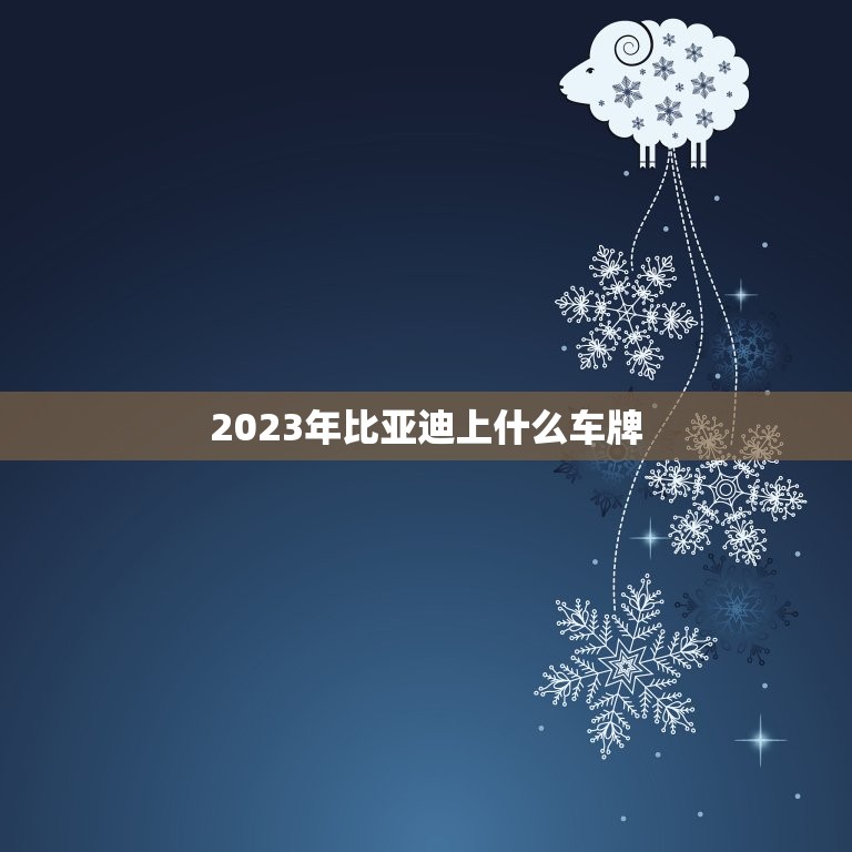 2023年比亚迪上什么车牌，比亚迪为什么有两种车牌