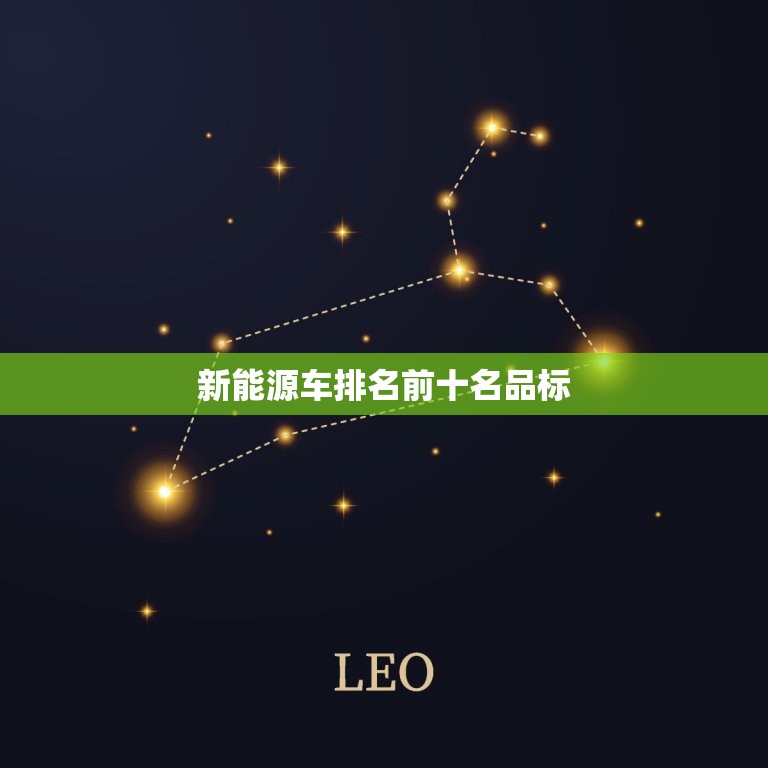 新能源车排名前十名品标，新能源车排名前十名车标  第1张