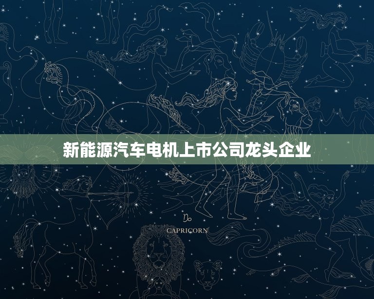 新能源汽车电机上市公司龙头企业，新能源汽车电机上市公司龙头企业有哪些  第1张
