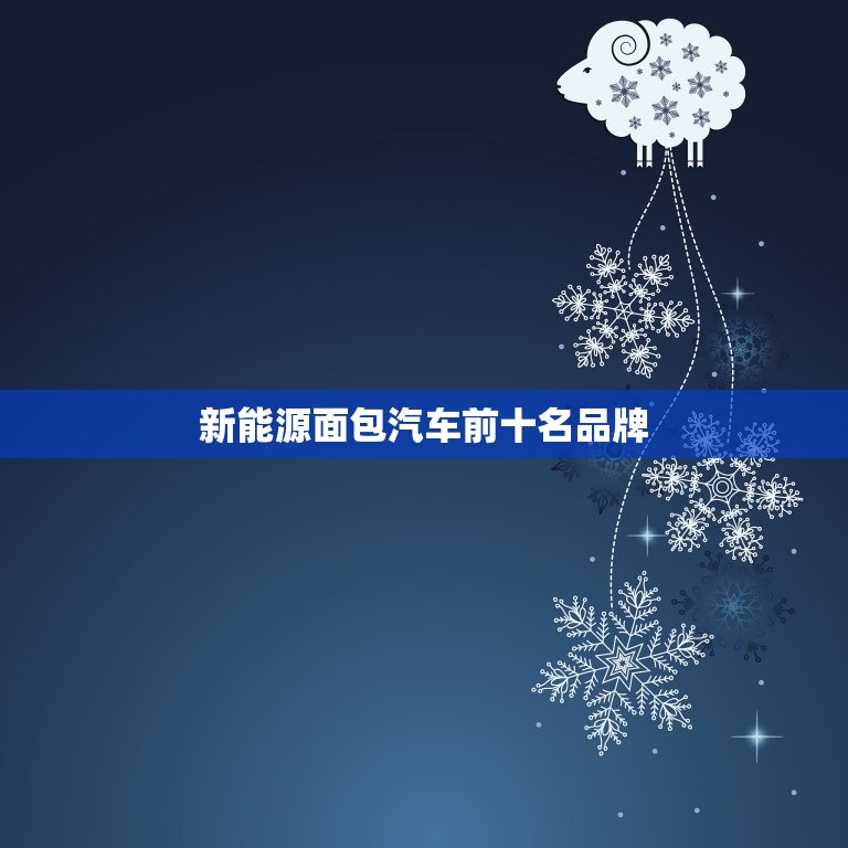 新能源面包汽车前十名品牌，新能源面包车汽车前十名品牌  第1张