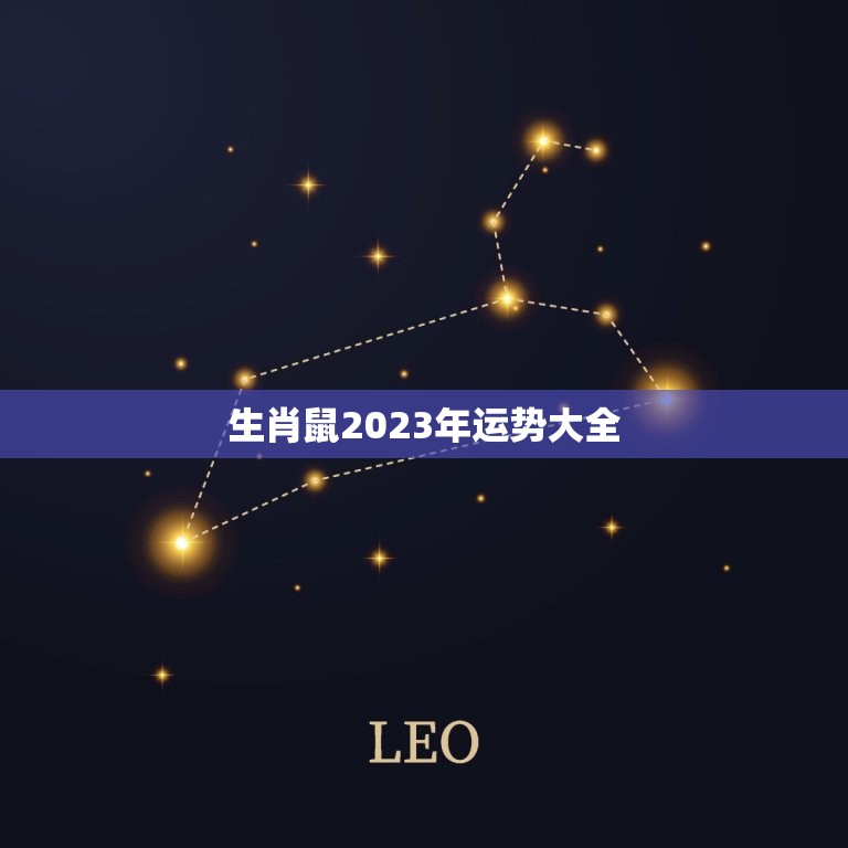 生肖鼠2023年运势大全，1972年生肖鼠2023年运势大全  第1张