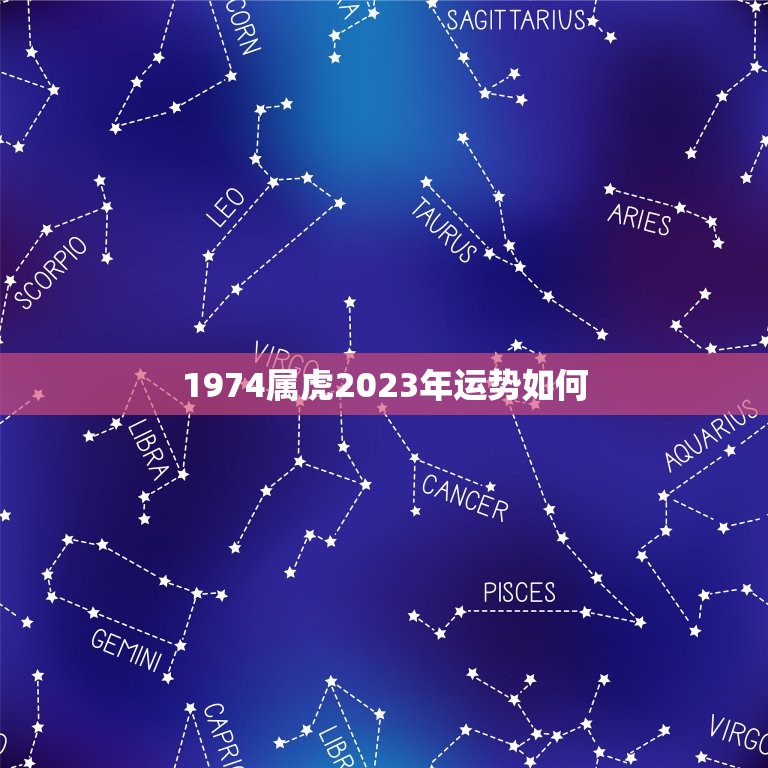 1974属虎2023年运势如何，1974属虎2023年运势如何今天财运方位  第1张