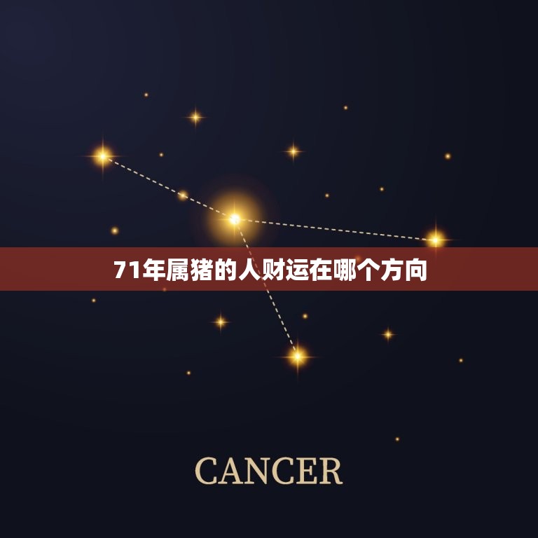 71年属猪的人财运在哪个方向，71属猪2023年有两喜  第1张
