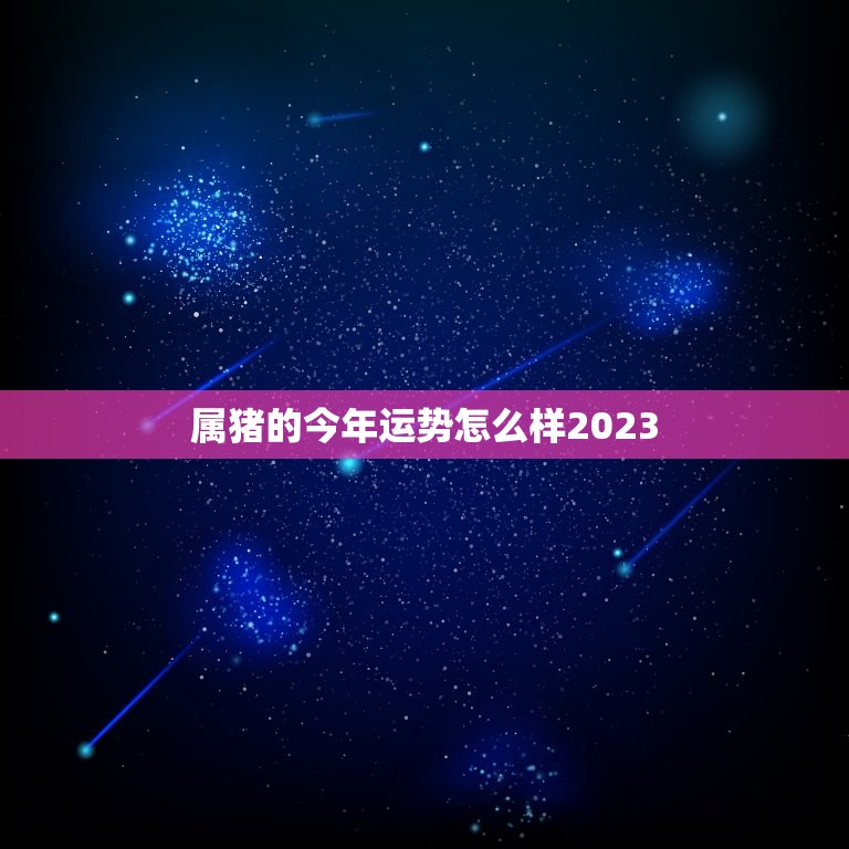 属猪的今年运势怎么样2023，今年属猪的财运和运气如何2023年