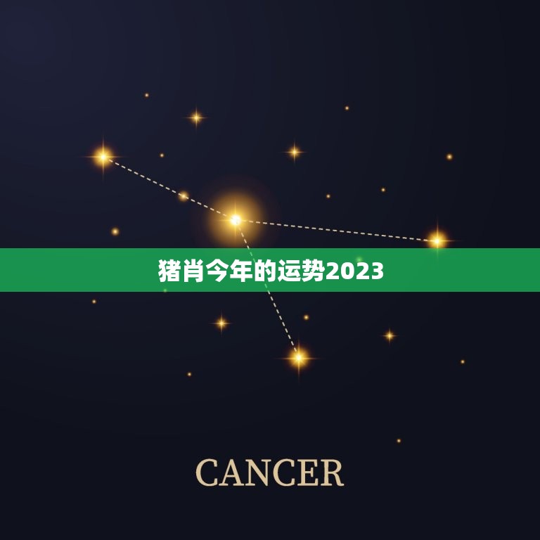 猪肖今年的运势2023，属猪运势2023年运势详解