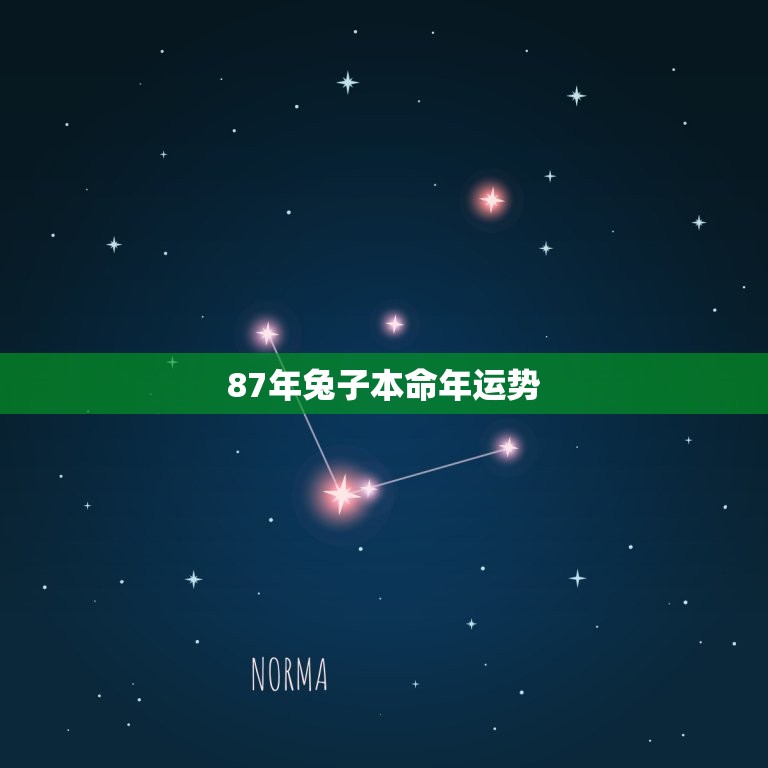 87年兔子本命年运势，1987年属兔本命年运势  第1张