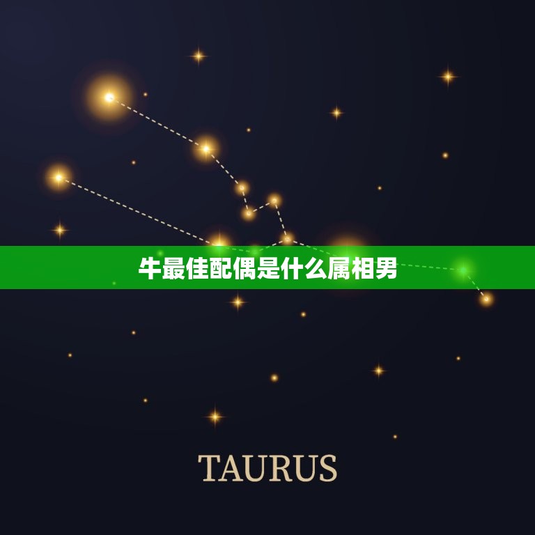 牛最佳配偶是什么属相男，牛的最佳配偶属相是  第1张