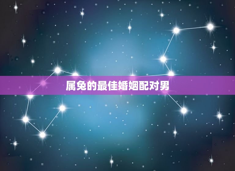 属兔的最佳婚姻配对男，属兔人的最佳婚配属相兔  第1张