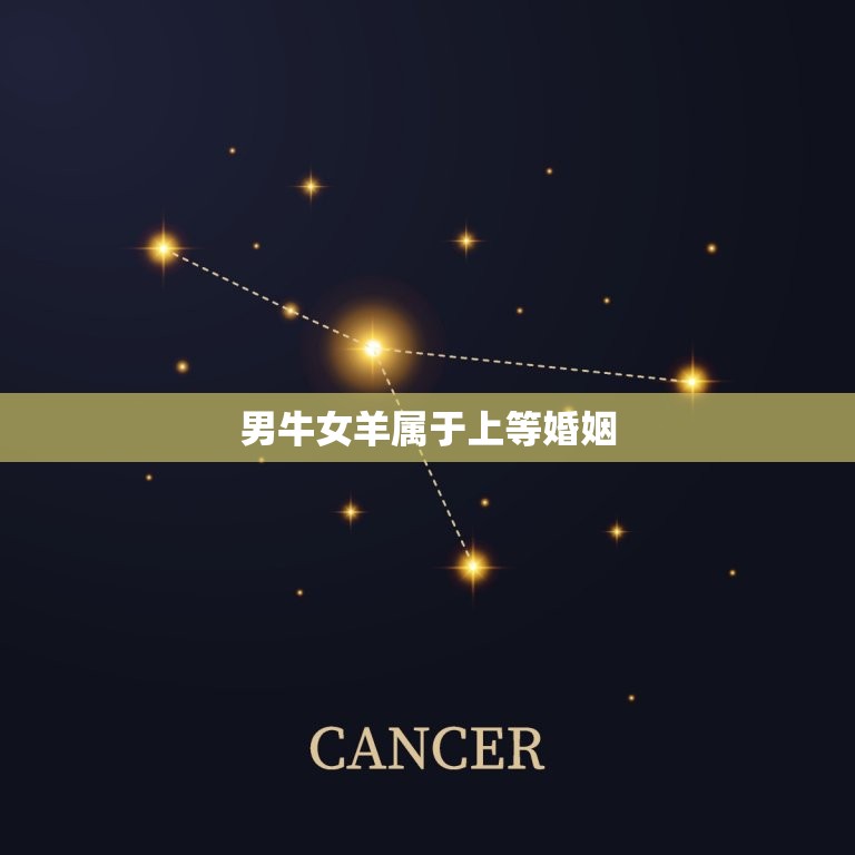 男牛女羊属于上等婚姻，牛男羊女婚配结局  第1张