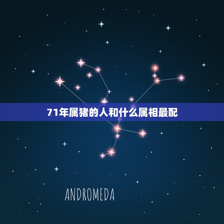 71年属猪的人和什么属相最配，1971年属猪和什么属相合财  第1张