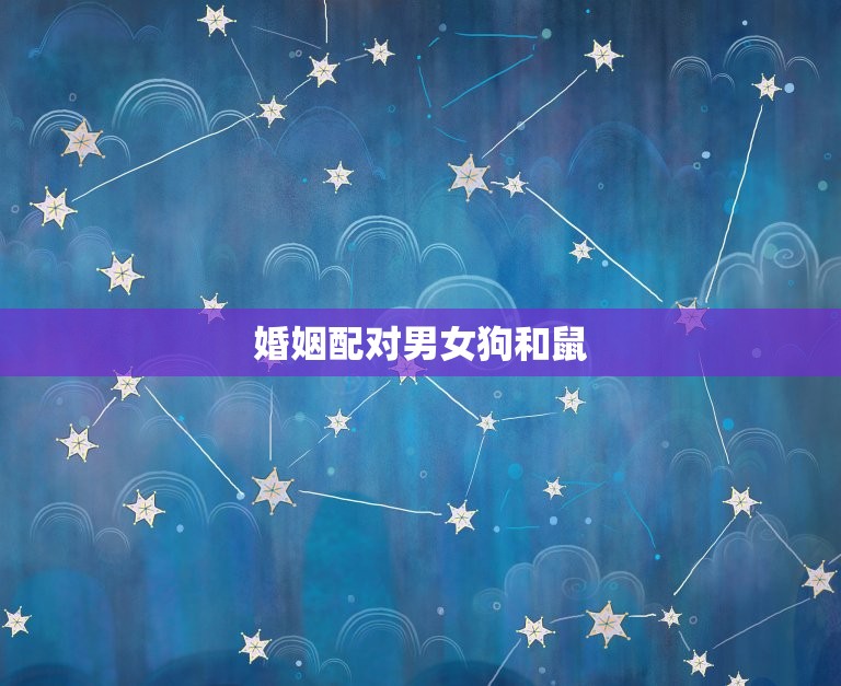 婚姻配对男女狗和鼠，婚姻配对男女狗和鼠相配吗