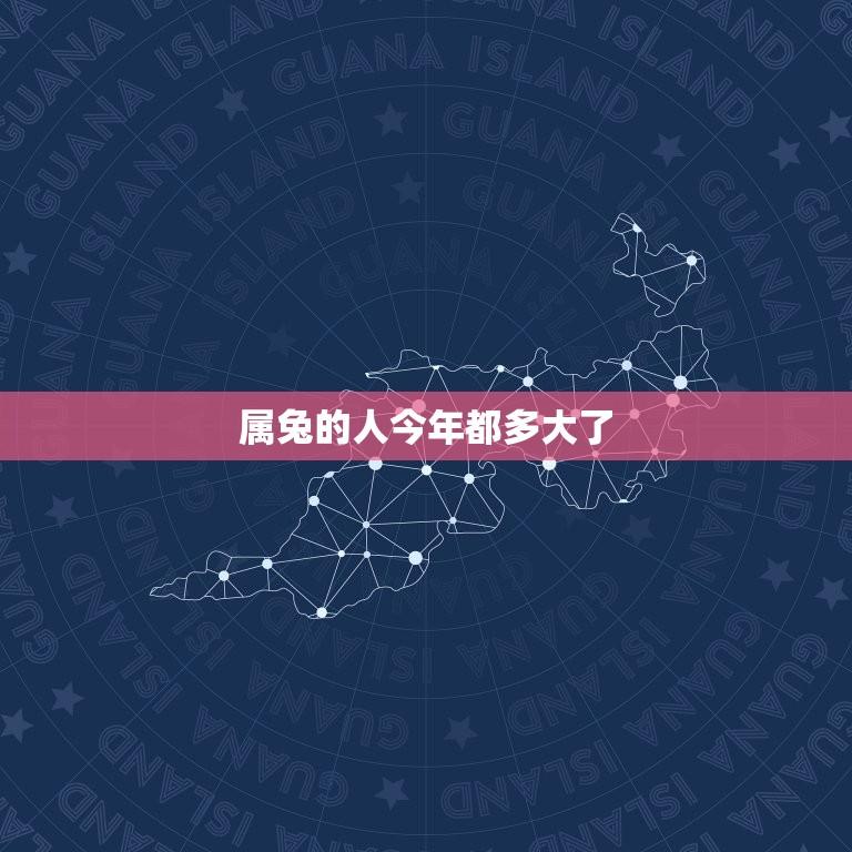 属兔的人今年都多大了(2023年属兔人的年龄计算)  第1张