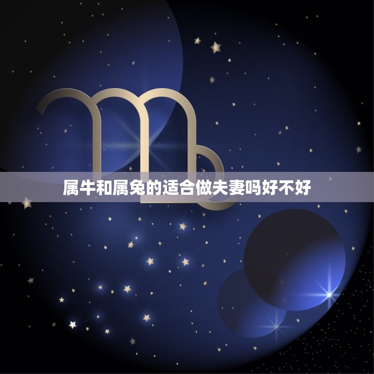 属牛和属兔的适合做夫妻吗好不好(十二生肖配对介绍)  第1张