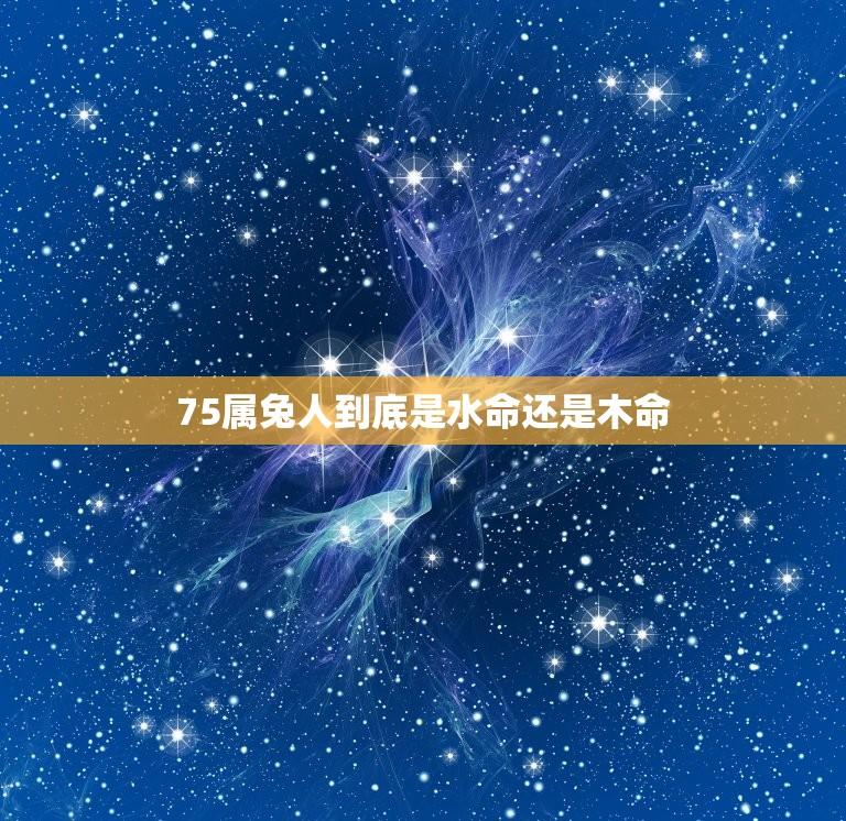 75属兔人到底是水命还是木命(讨论属兔人的八字五行属性)