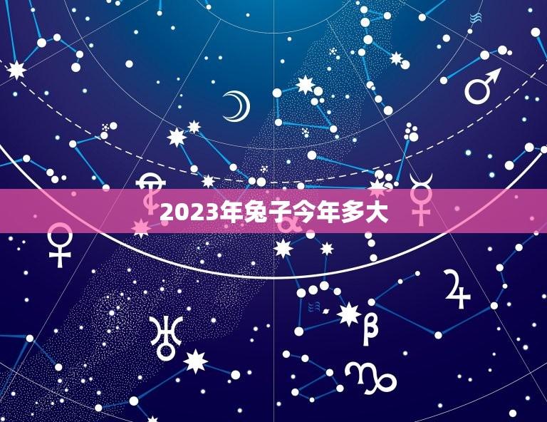2023年兔子今年多大？(解读兔子的生长发育规律)  第1张