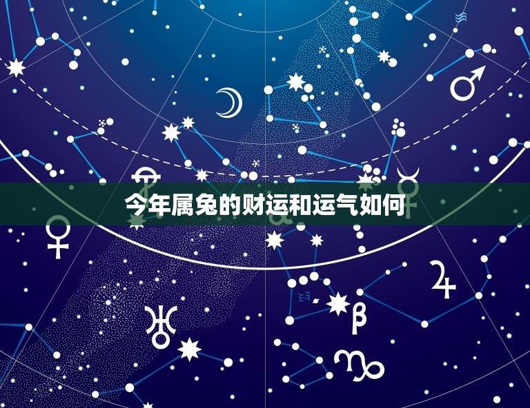 今年属兔的财运和运气如何(2023属兔人的运势分析)  第1张