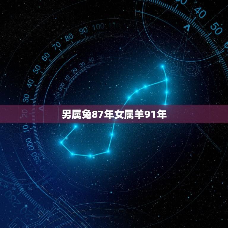 男属兔87年女属羊91年(十二生肖中的兔和羊的性格特点)