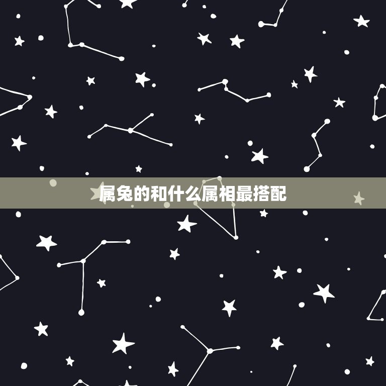 属兔的和什么属相最搭配(十二生肖配对指南)  第1张