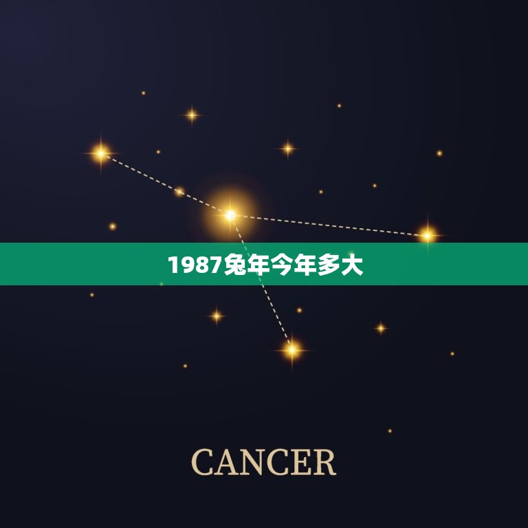 1987兔年今年多大(兔年人的年龄计算方法)