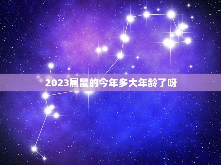 2023属鼠的今年多大年龄了呀(介绍属鼠人的年龄计算方法)