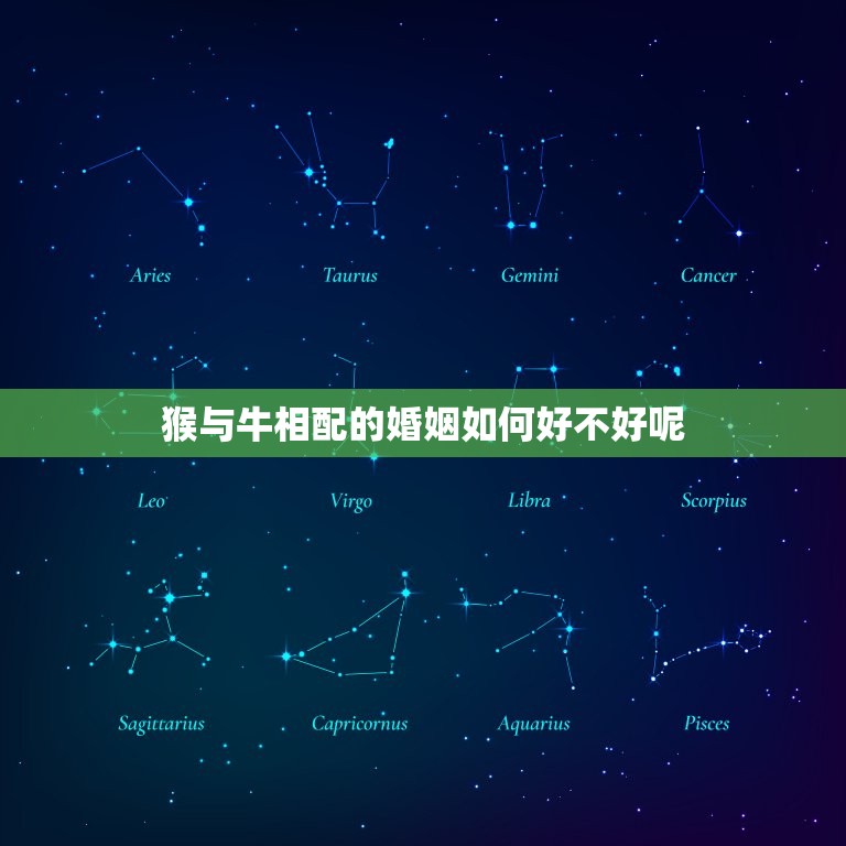 猴与牛相配的婚姻如何好不好呢(讨论星座学派和现实生活的区别)  第1张