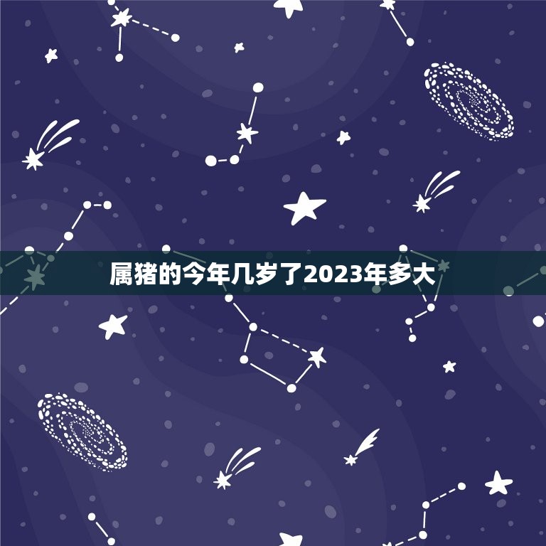 属猪的今年几岁了2023年多大(猪年生肖运势大介绍)