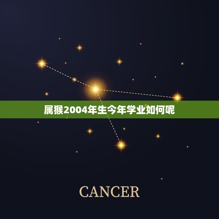 属猴2004年生今年学业如何呢(介绍猴年生肖运势)