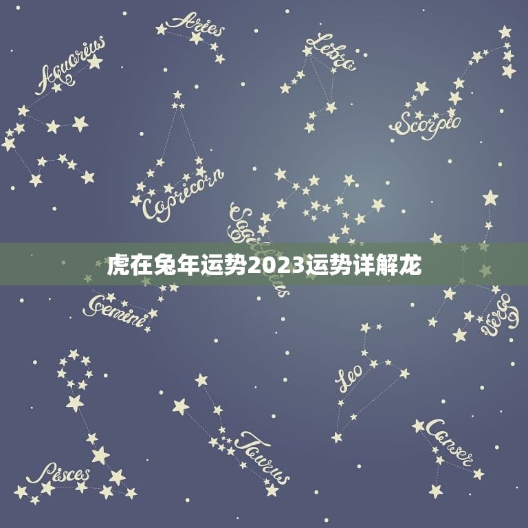 虎在兔年运势2023运势详解龙(龙年运势如何)