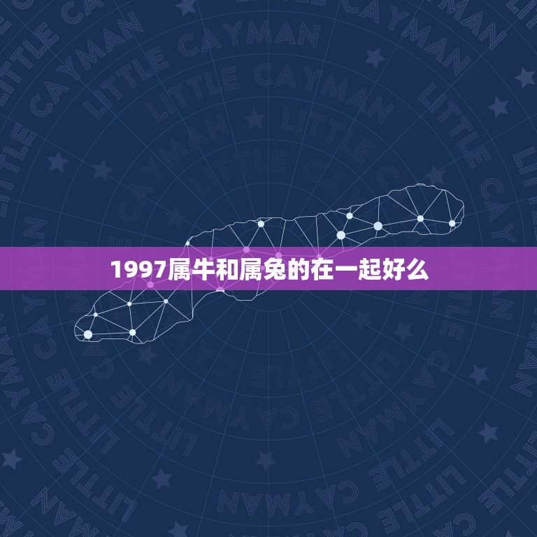 1997属牛和属兔的在一起好么(星座配对分析)  第1张