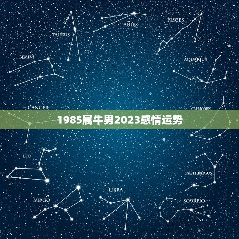 1985属牛男2023感情运势(爱情路上稳步前行)