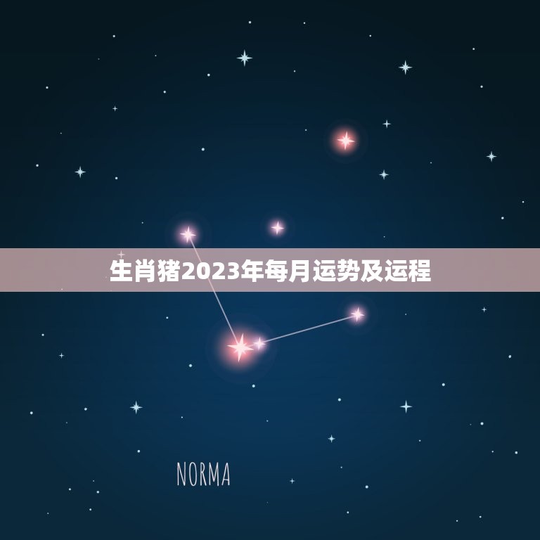 生肖猪2023年每月运势及运程(全年介绍)